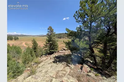 313 Elliott Drive, Florissant, CO 80816 - Photo 21