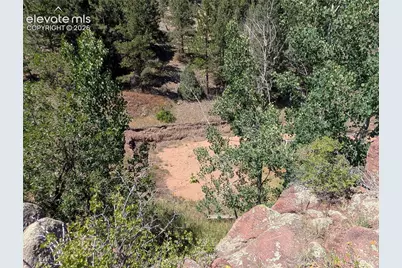 313 Elliott Drive, Florissant, CO 80816 - Photo 9