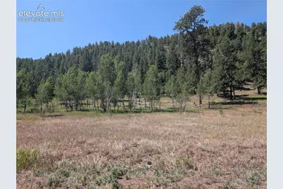 313 Elliott Drive, Florissant, CO 80816 - Photo 35