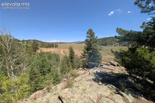 313 Elliott Dr, Florissant, CO 80816 - Photo 1
