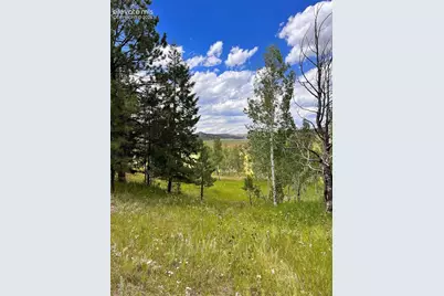 313 Elliott Drive, Florissant, CO 80816 - Photo 37