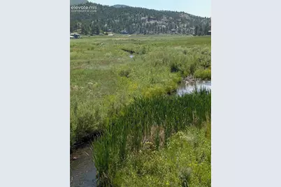 313 Elliott Drive, Florissant, CO 80816 - Photo 5