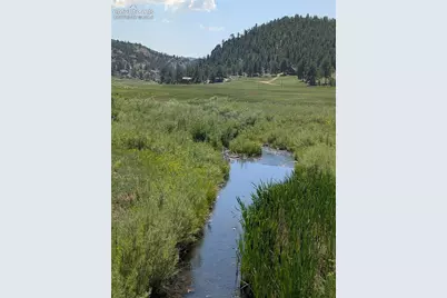 313 Elliott Drive, Florissant, CO 80816 - Photo 7
