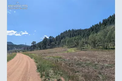 313 Elliott Drive, Florissant, CO 80816 - Photo 33