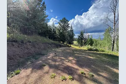 313 Elliott Drive, Florissant, CO 80816 - Photo 3