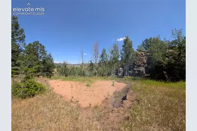 313 Elliott Drive, Florissant, CO 80816 - Photo 13