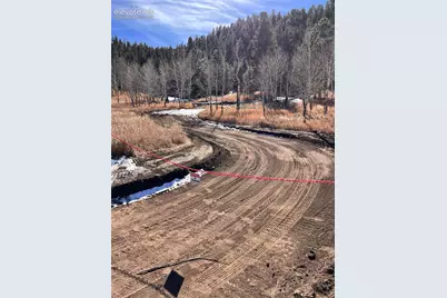 313 Elliott Drive, Florissant, CO 80816 - Photo 39