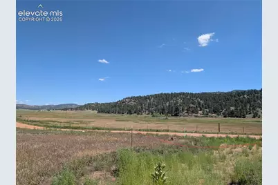 313 Elliott Drive, Florissant, CO 80816 - Photo 31