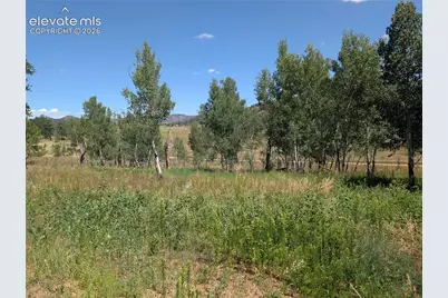 313 Elliott Drive, Florissant, CO 80816 - Photo 23