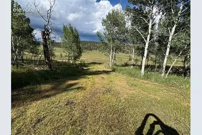 313 Elliott Drive, Florissant, CO 80816 - Photo 45