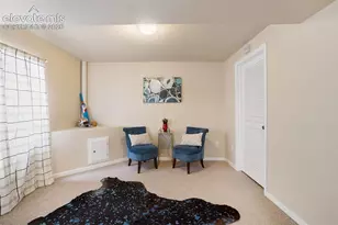 8317 Chasewood Loop, Colorado Springs, CO 80908 - Photo 27