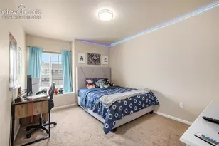8317 Chasewood Loop, Colorado Springs, CO 80908 - Photo 9
