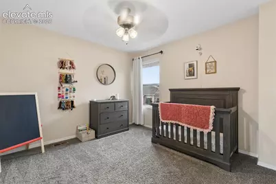 5794 Cassina Drive, Colorado Springs, CO 80923 - Photo 17