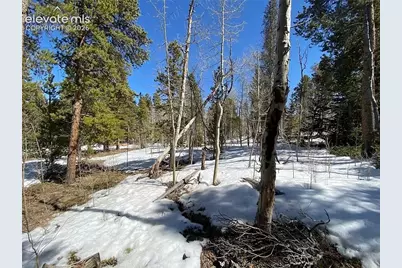 2202 High Creek Road, Fairplay, CO 80440 - Photo 3
