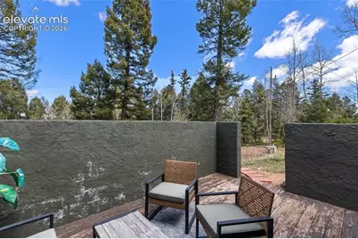 776 Jolly Rogue Drive, Divide, CO 80814 - Photo 35