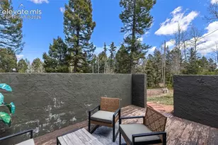 776 Jolly Rogue Dr, Divide, CO 80814 - Photo 35