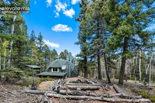 776 Jolly Rogue Dr, Divide, CO 80814 - Photo 33