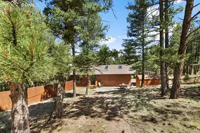 234 Wasatch Lane, Florissant, CO 80816 - Photo 39