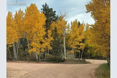 234 Wasatch Lane, Florissant, CO 80816 - Photo 41