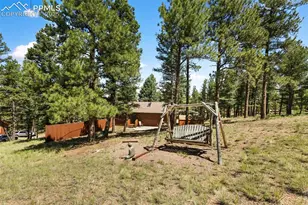 234 Wasatch Ln, Florissant, CO 80816 - Photo 29