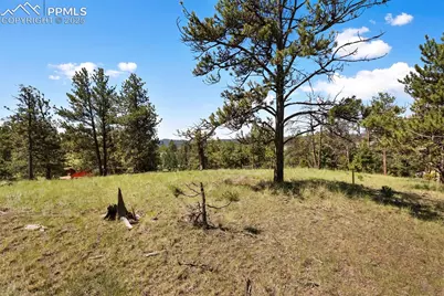 234 Wasatch Lane, Florissant, CO 80816 - Photo 35