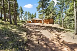 234 Wasatch Ln, Florissant, CO 80816 - Photo 5