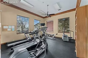 3976 Riviera Grove, Colorado Springs, CO 80922 - Photo 43