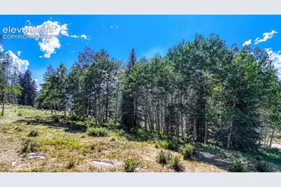 1444 Anges Drive, Cripple Creek, CO 80813 - Photo 17