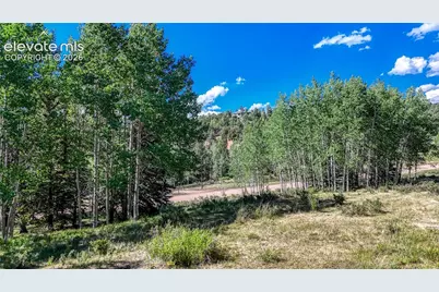 1444 Anges Drive, Cripple Creek, CO 80813 - Photo 9