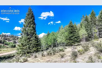 1444 Anges Drive, Cripple Creek, CO 80813 - Photo 15