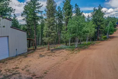 449 Woody Creek Road, Florissant, CO 80816 - Photo 19