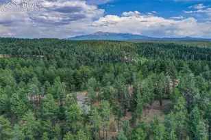 449 Woody Creek Rd, Florissant, CO 80816 - Photo 1