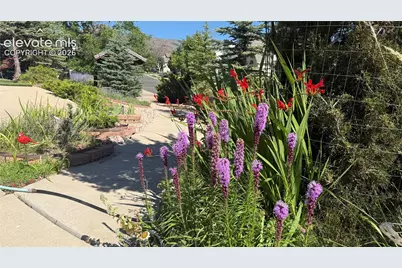2285 Vanreen Drive, Colorado Springs, CO 80919 - Photo 49