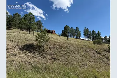 137 Hillside Drive, Florissant, CO 80816 - Photo 15