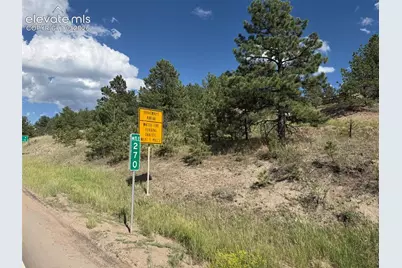 137 Hillside Drive, Florissant, CO 80816 - Photo 11