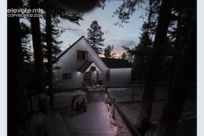 87 Bonanza Circle, Florissant, CO 80816 - Photo 3