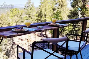87 Bonanza Cir, Florissant, CO 80816 - Photo 15