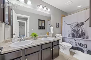 7815 Dry Willow Wy, Colorado Springs, CO 80908 - Photo 21