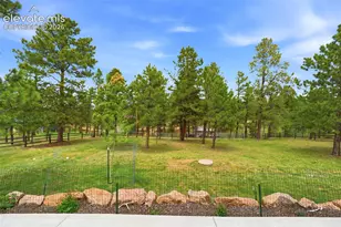 201 Turnabout Ln, Florissant, CO 80816 - Photo 39