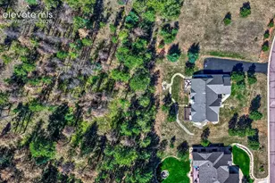 115 Hawkridge Dr, Woodland Park, CO 80863 - Photo 3