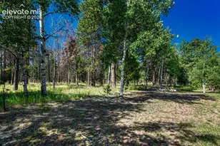 115 Hawkridge Dr, Woodland Park, CO 80863 - Photo 17
