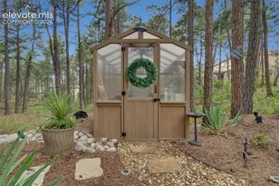1005 Tree Bark Terrace, Monument, CO 80132 - Photo 43