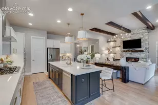 1005 Tree Bark Terrace, Monument, CO 80132 - Photo 11