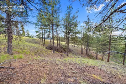 28 Pinnacle Circle, Florissant, CO 80816 - Photo 3