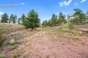 28 Pinnacle Cir, Florissant, CO 80816 - Photo 1