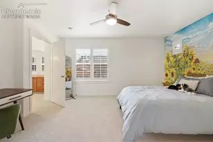 1868 La Bellezza Grove, Colorado Springs, CO 80919 - Photo 19