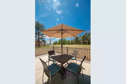 1733 Woodmoor Drive, Monument, CO 80132 - Photo 33