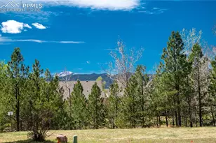 1733 Woodmoor Dr, Monument, CO 80132 - Photo 39