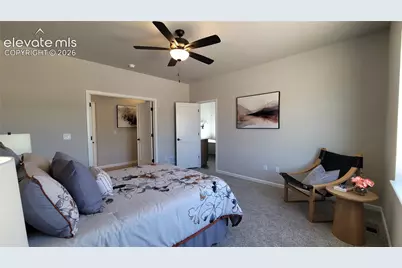 6532 Miro Lane, Colorado Springs, CO 80924 - Photo 19