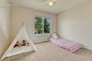 10540 Antler Creek Dr, Peyton, CO 80831 - Photo 29